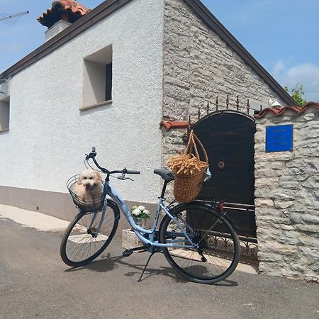 Authentic Istria&Pet Friendly Apartment Banko Near Rovinj Kanfanar Εξωτερικό φωτογραφία