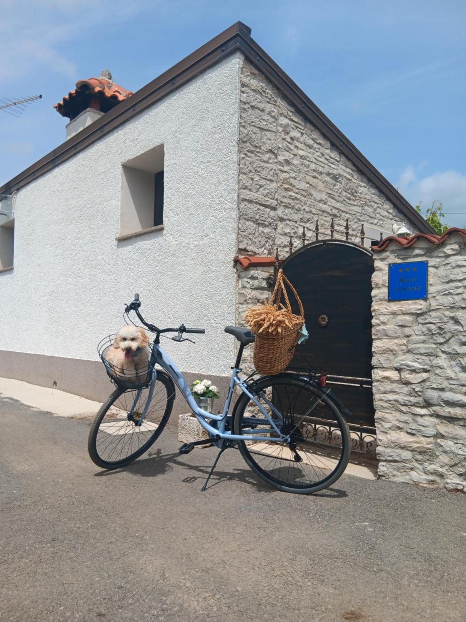 Authentic Istria&Pet Friendly Apartment Banko Near Rovinj Kanfanar Εξωτερικό φωτογραφία