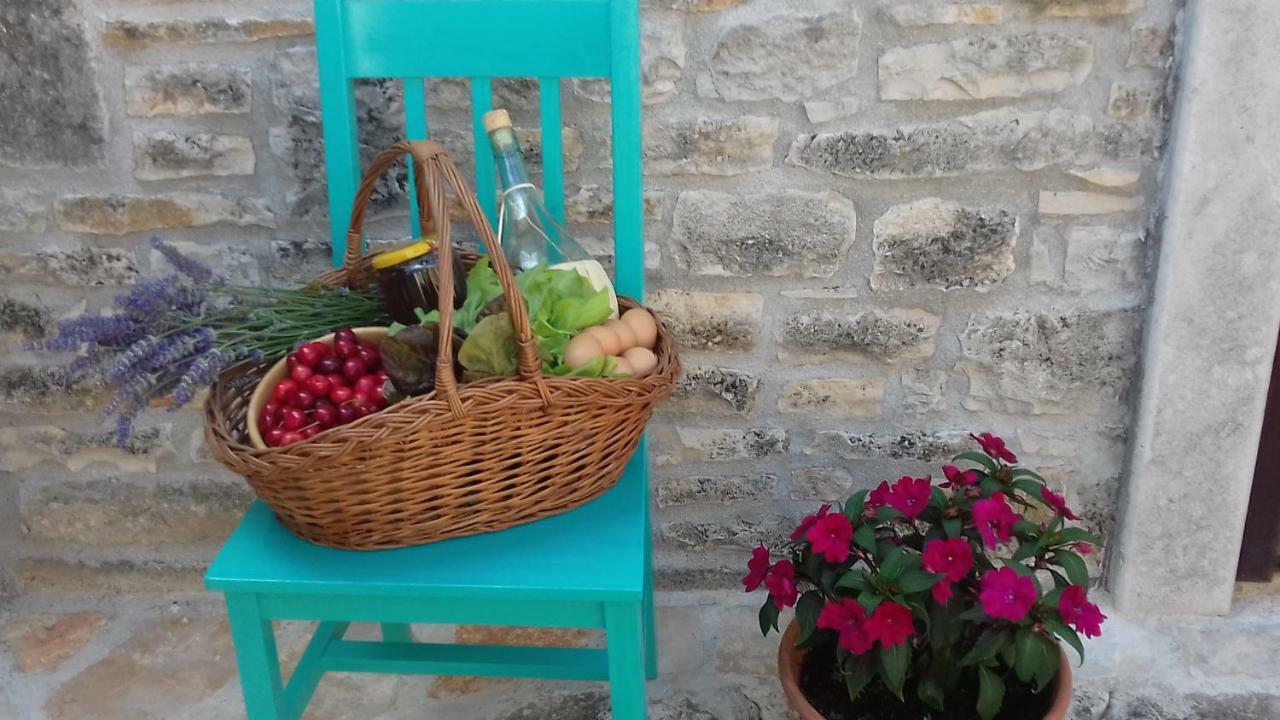 Authentic Istria&Pet Friendly Apartment Banko Near Rovinj Kanfanar Εξωτερικό φωτογραφία