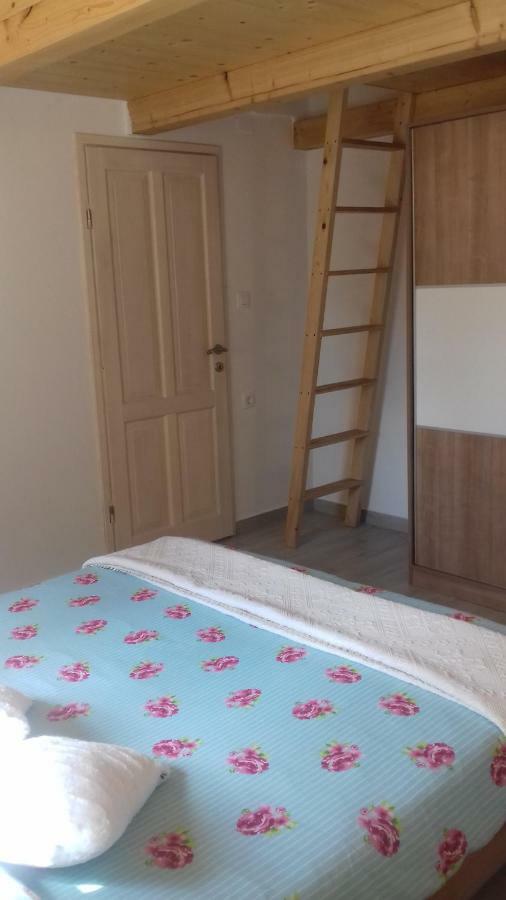 Authentic Istria&Pet Friendly Apartment Banko Near Rovinj Kanfanar Εξωτερικό φωτογραφία